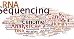 Microbial Genomics Training in Malta