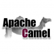 Apache Camel Training in Malta