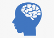 Human Factors
