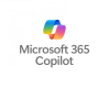 Category for Microsoft 365 Copilot Training in Malta